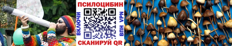 Псилоцибиновые грибы Magic Shrooms  ссылка на мегу ССЫЛКА  Сурск  купить  